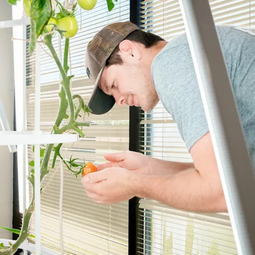 Digital Agronomy